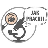 PI botonky 300x300px JAK PRACUJI PI botonky 300x300px JAK PRACUJI
